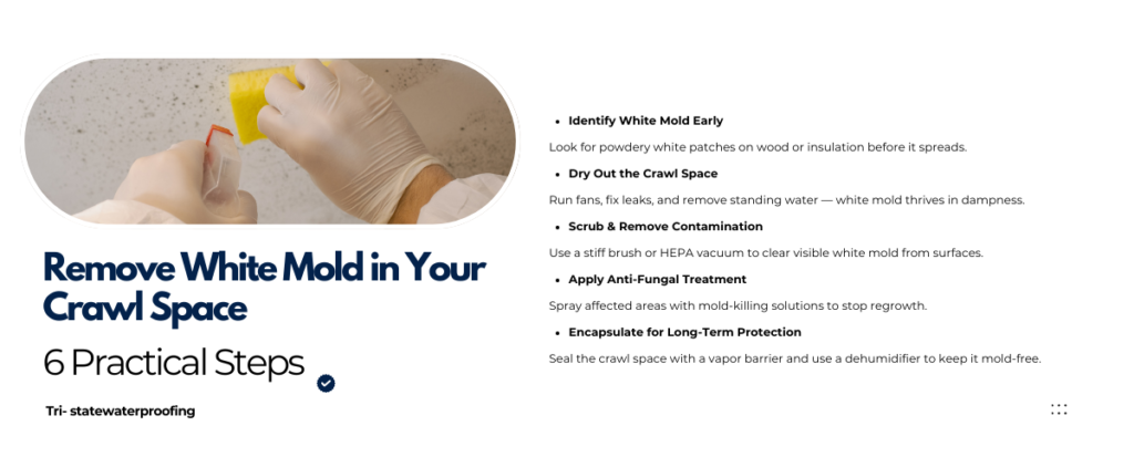 Practical steps of removing white mold in crawl space