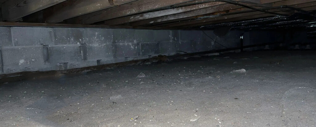Signs Your Crawl Space Needs Repair