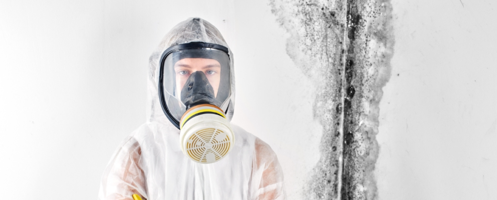 Safely Remove White Mold